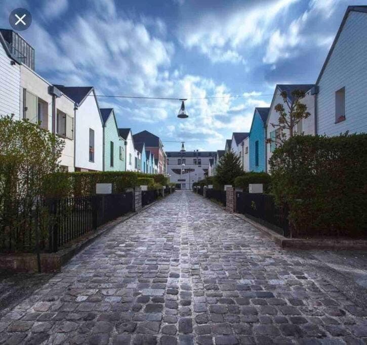Neighbourhood, Garden view