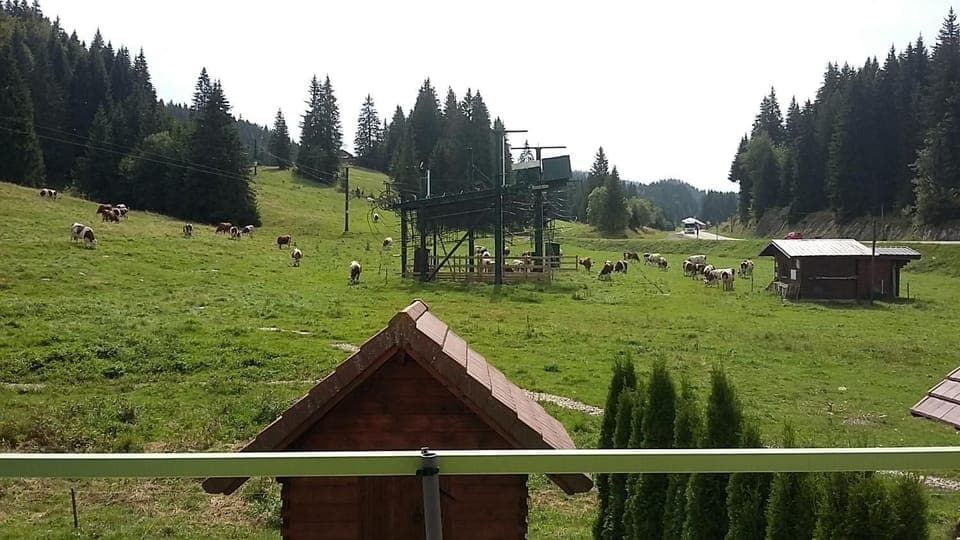 Balcony/Terrace, Garden view