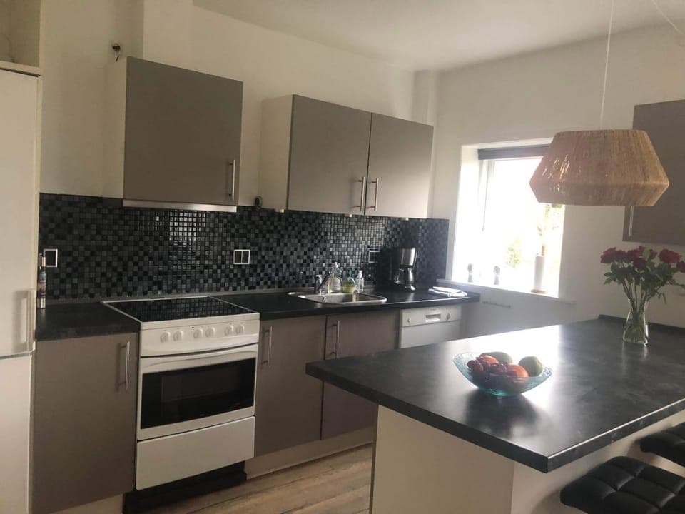 Kitchen or kitchenette, dishwasher, minibar, pet friendly, stove