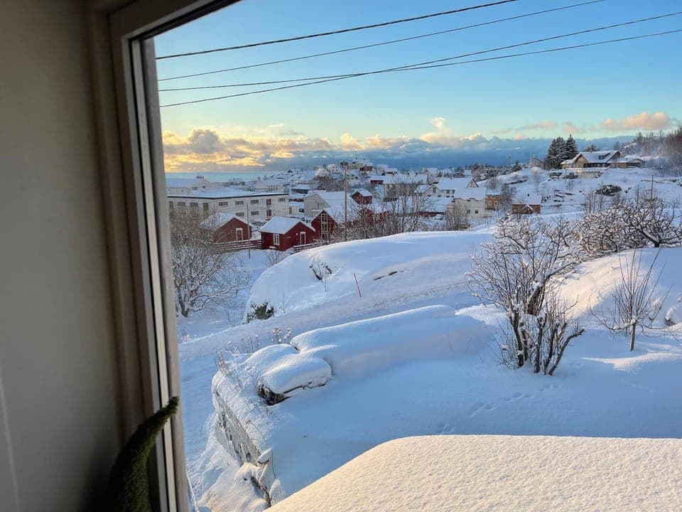 Day, Natural landscape, Winter