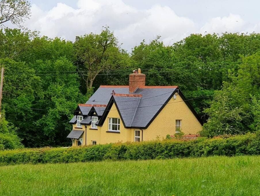 Property building, Day, Natural landscape