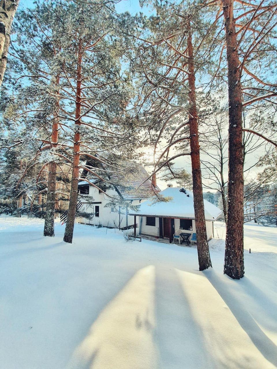 Day, Natural landscape, Winter