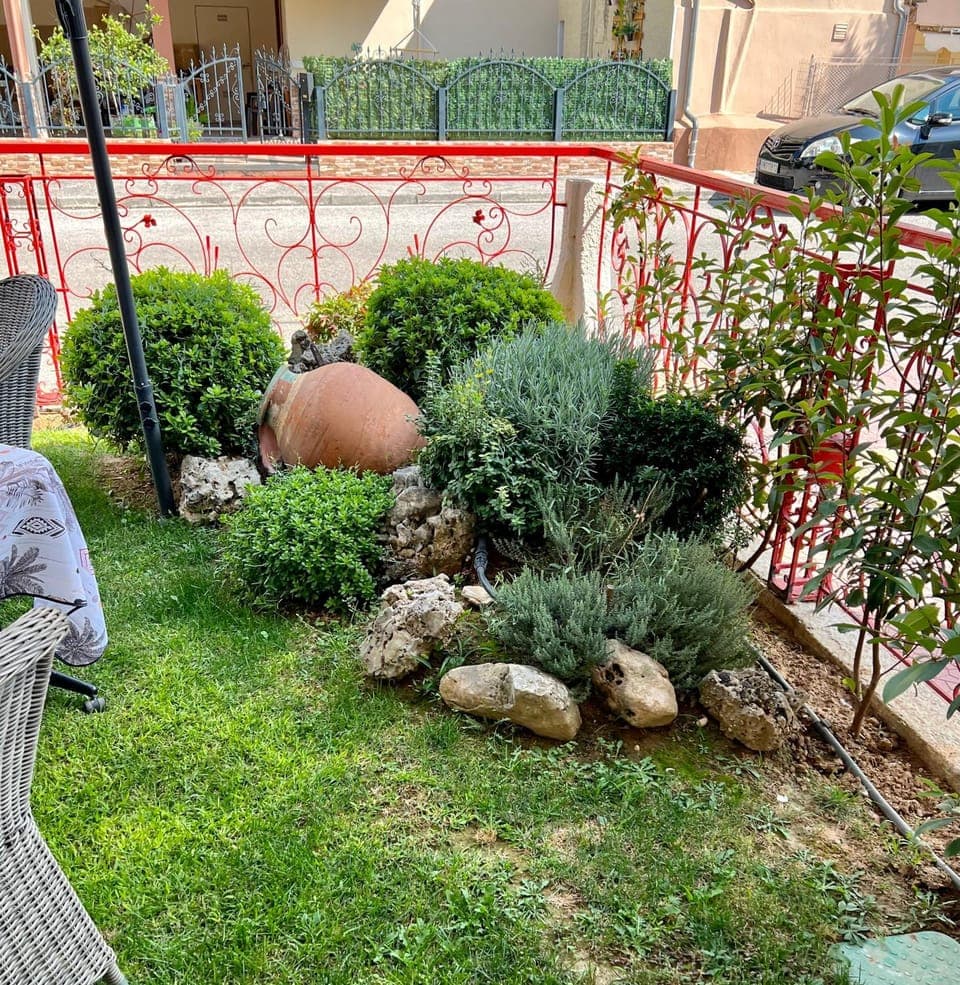 Garden, Garden, Garden view, Garden view