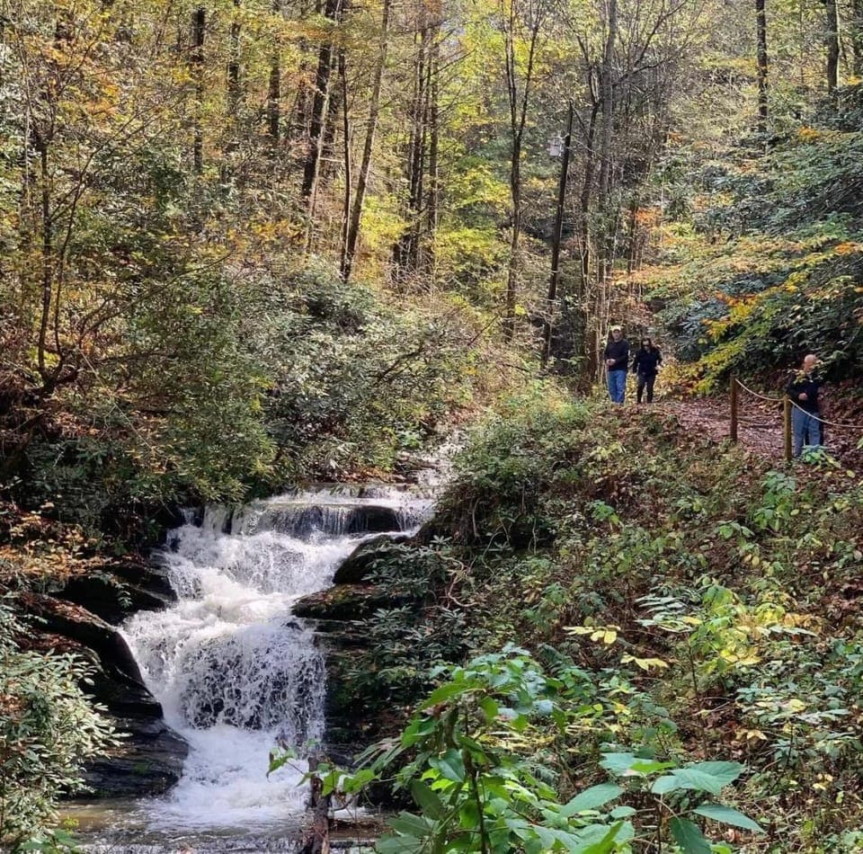 Misbeehavin' Chalet in Pigeon Forge