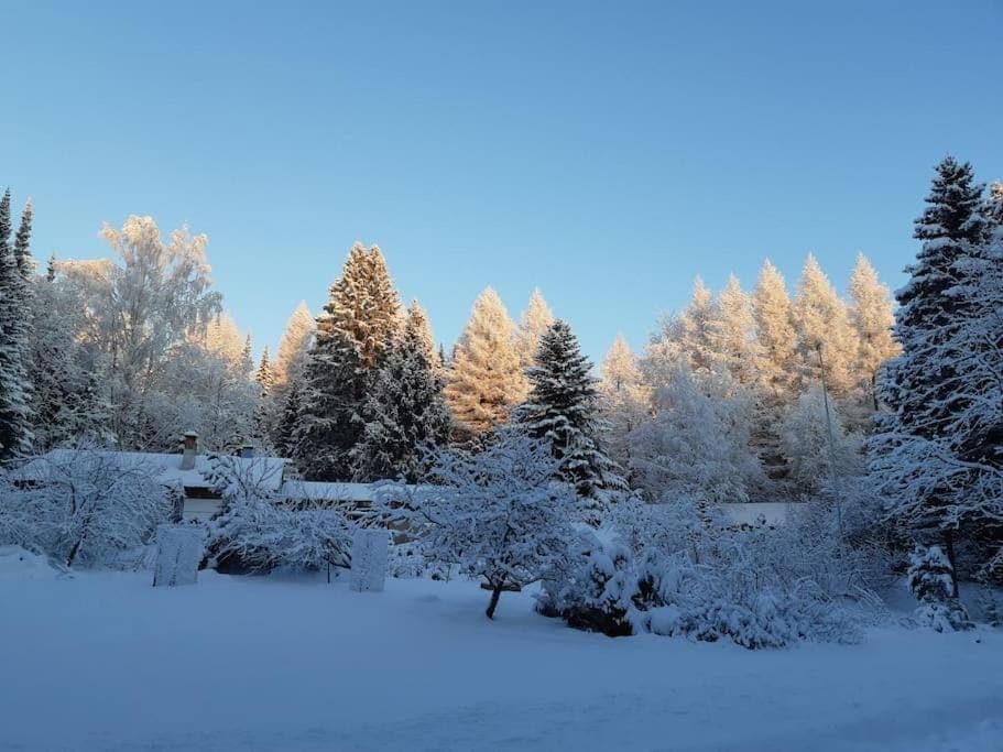 Natural landscape