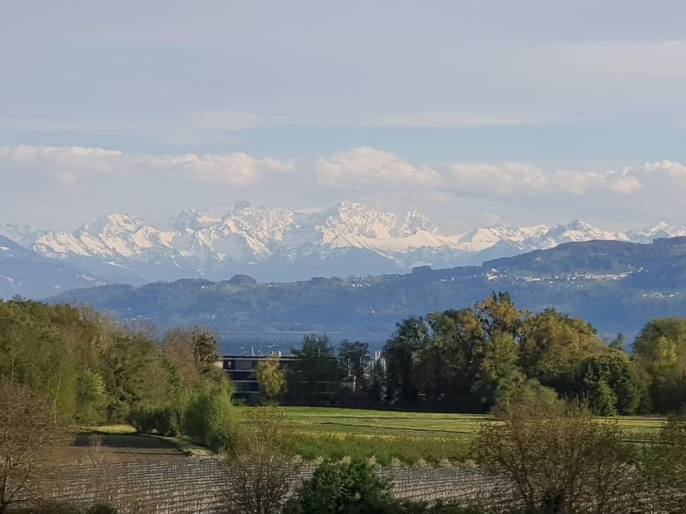 Mountain view
