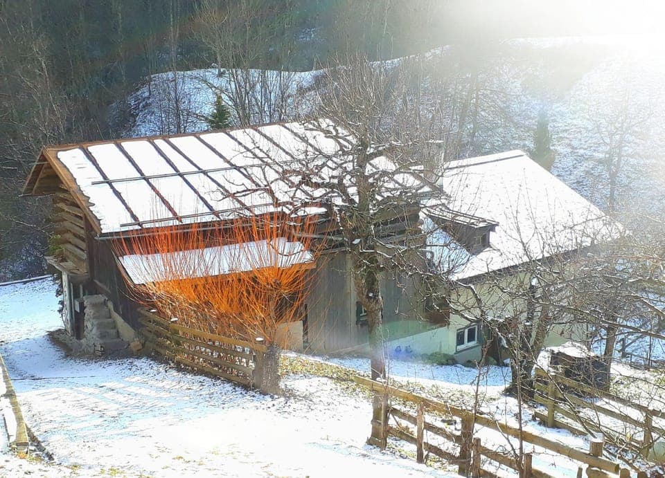 Property building, Winter