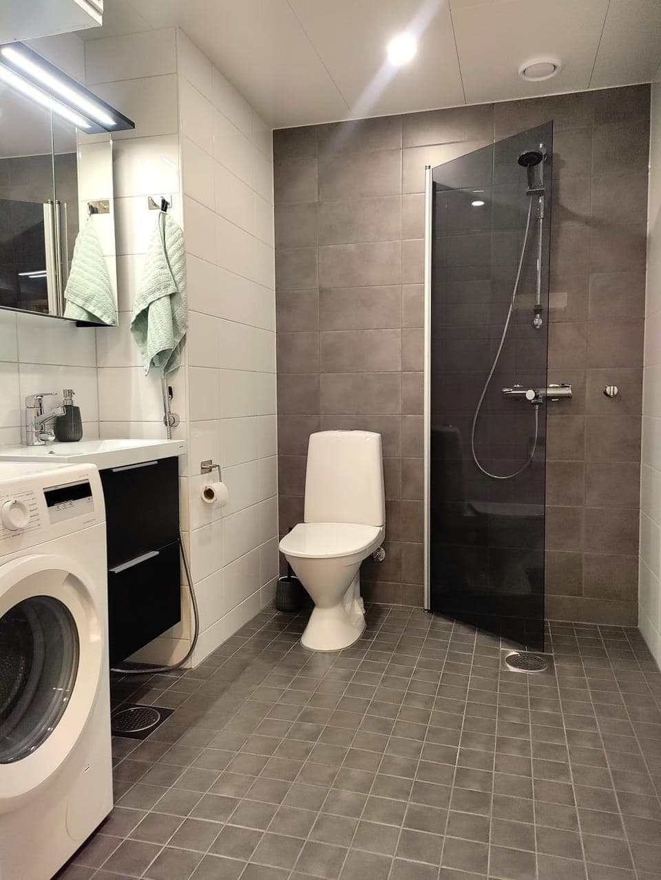 Shower, Toilet, Bathroom, washing machine