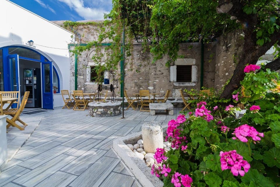 Garden, Lobby or reception, Garden view