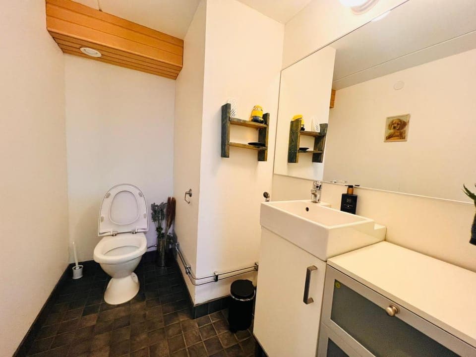 Toilet