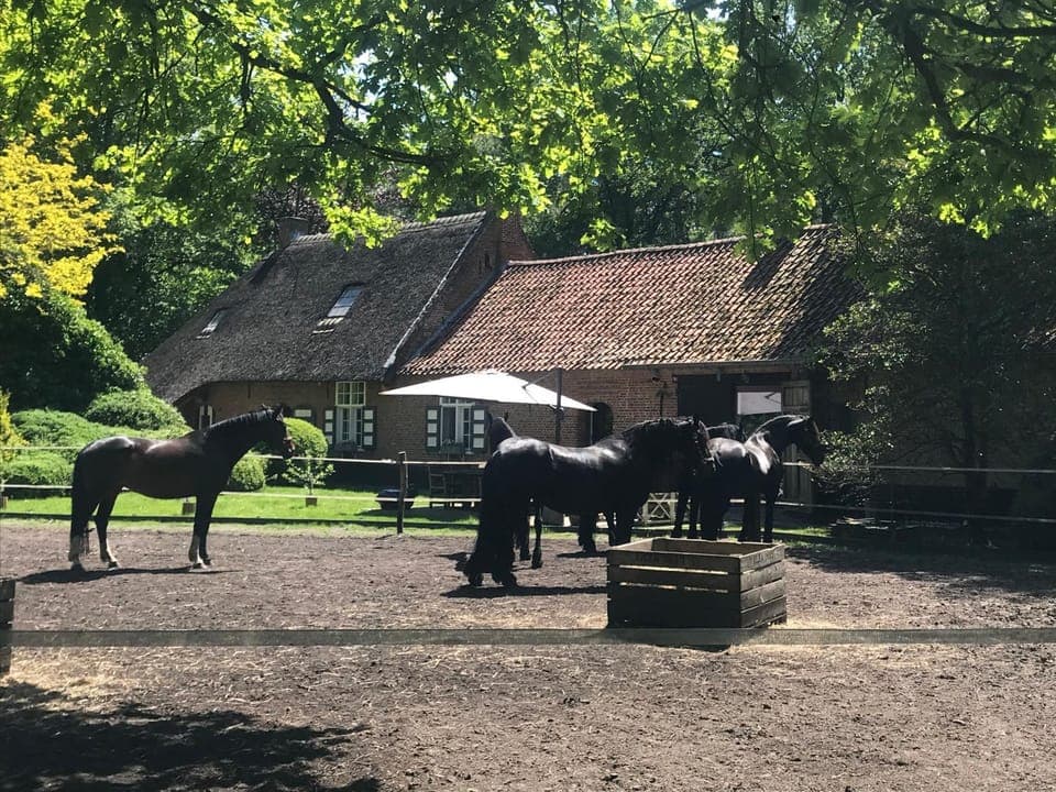 Natural landscape, Garden