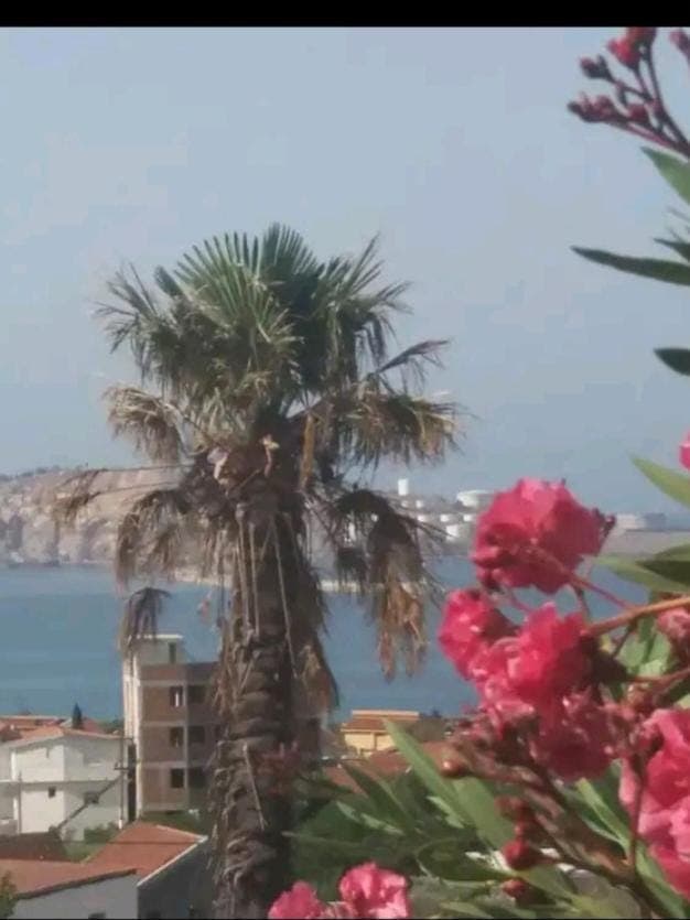 Sea view, Quiet street view