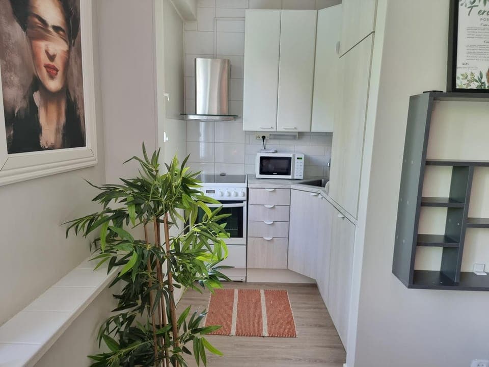 Kitchen or kitchenette, dishwasher, stove