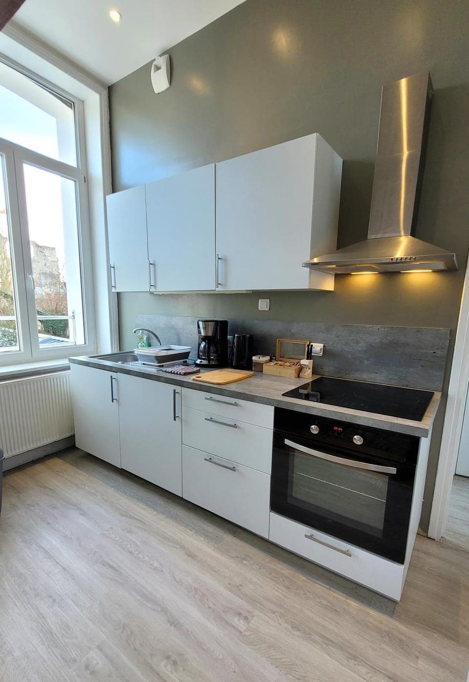 Kitchen or kitchenette, minibar, oven, pet friendly, stove, toaster