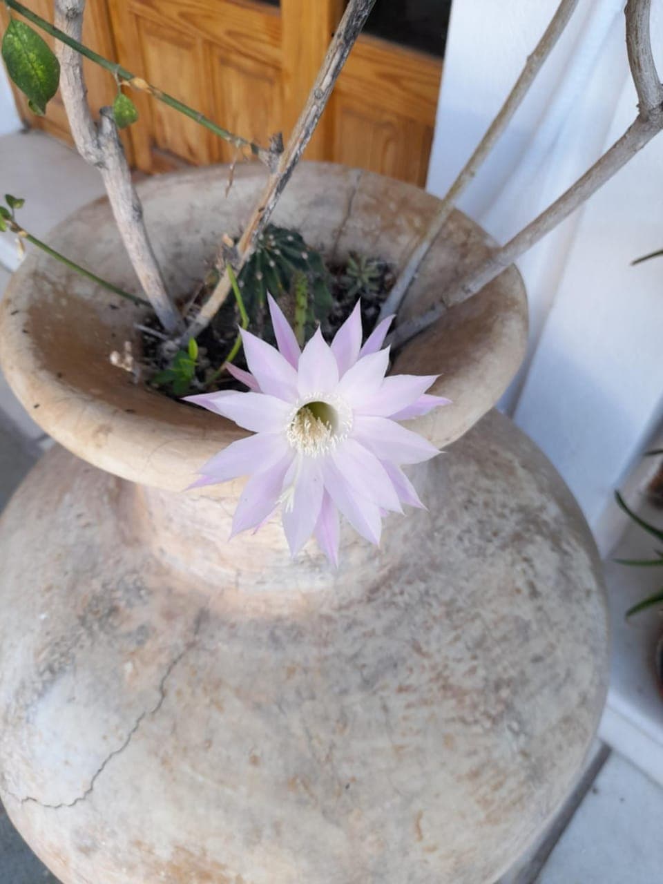 Property building, Breakfast