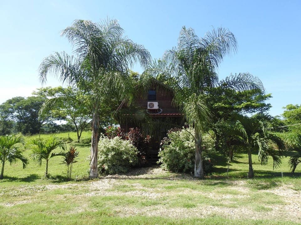 Natural landscape, Garden, Other