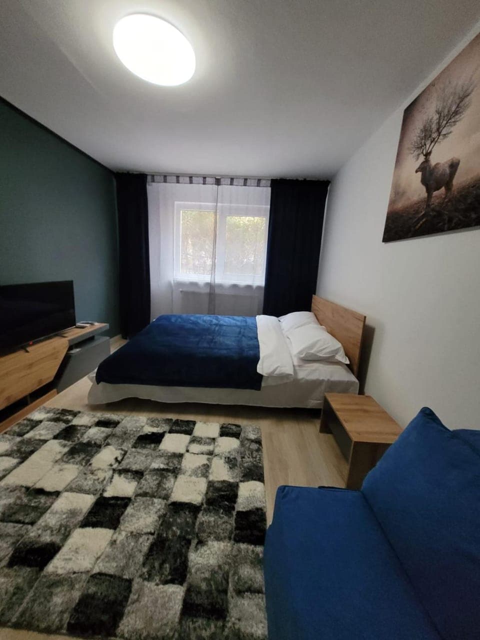 Bed, Living room, Photo of the whole room, Bedroom