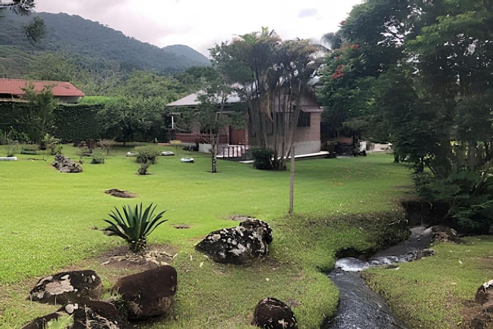 Garden view