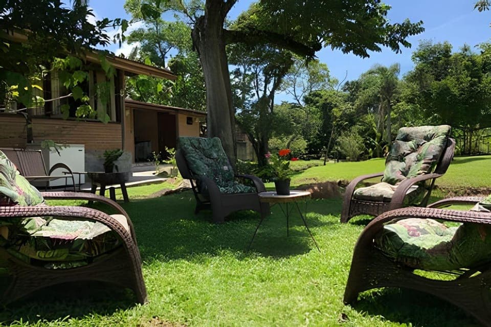 Garden view