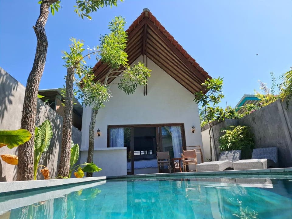 Property building, Patio, Day, Garden, Garden view, Pool view, Swimming pool, sunbed