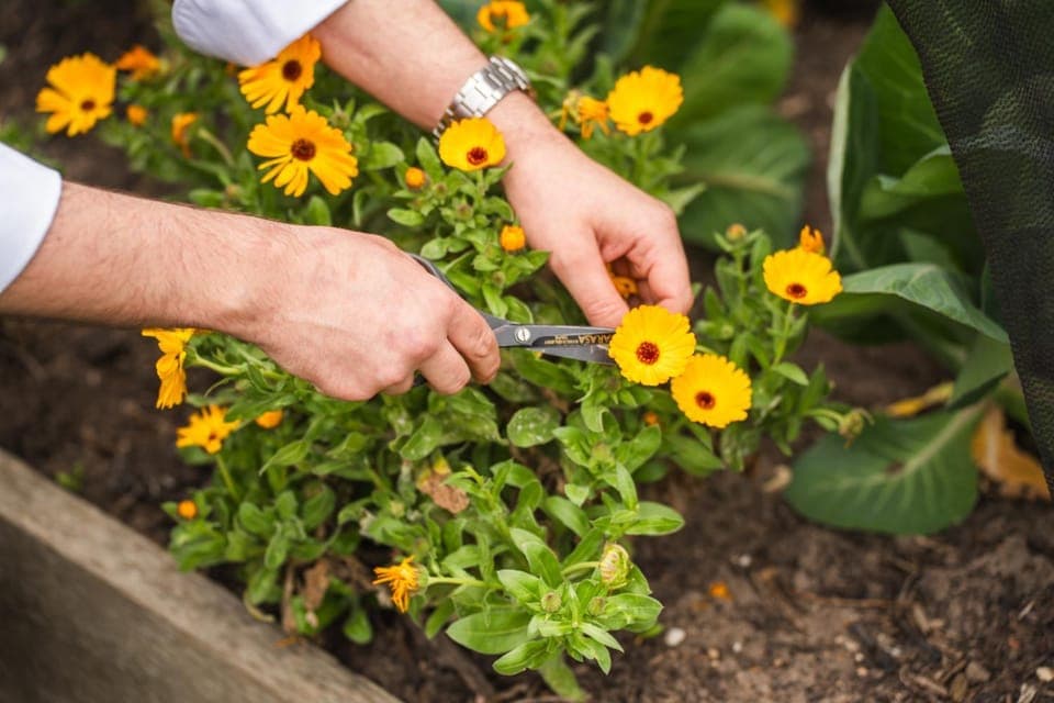 Property building, Restaurant/places to eat