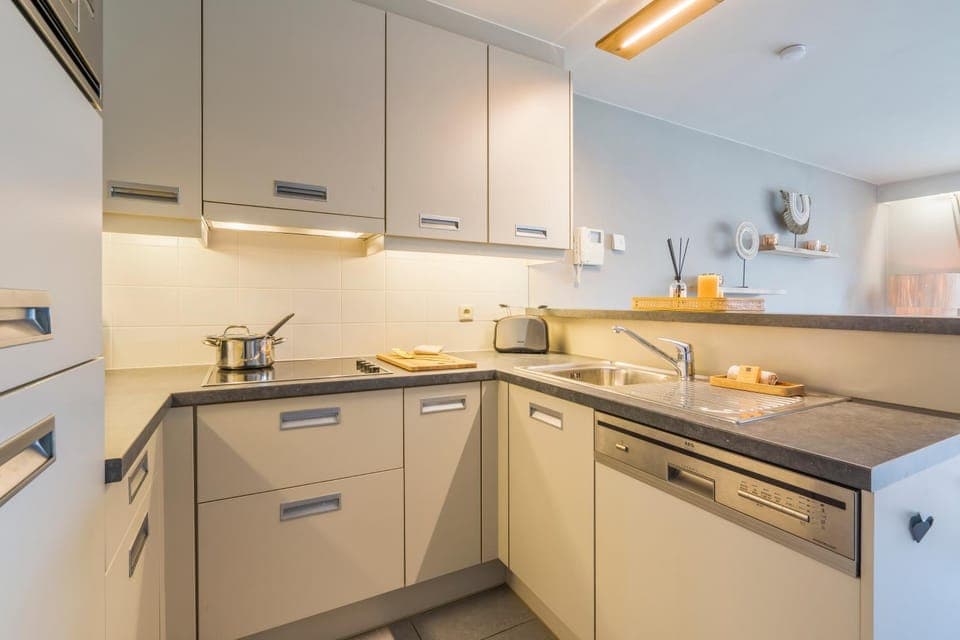 Kitchen or kitchenette, dishwasher, minibar, pet friendly, stove