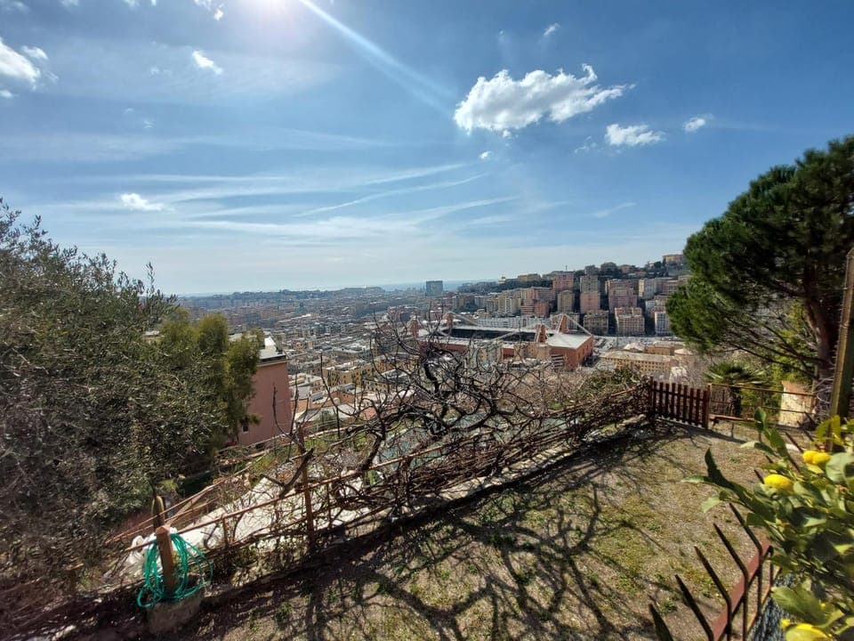 View (from property/room)