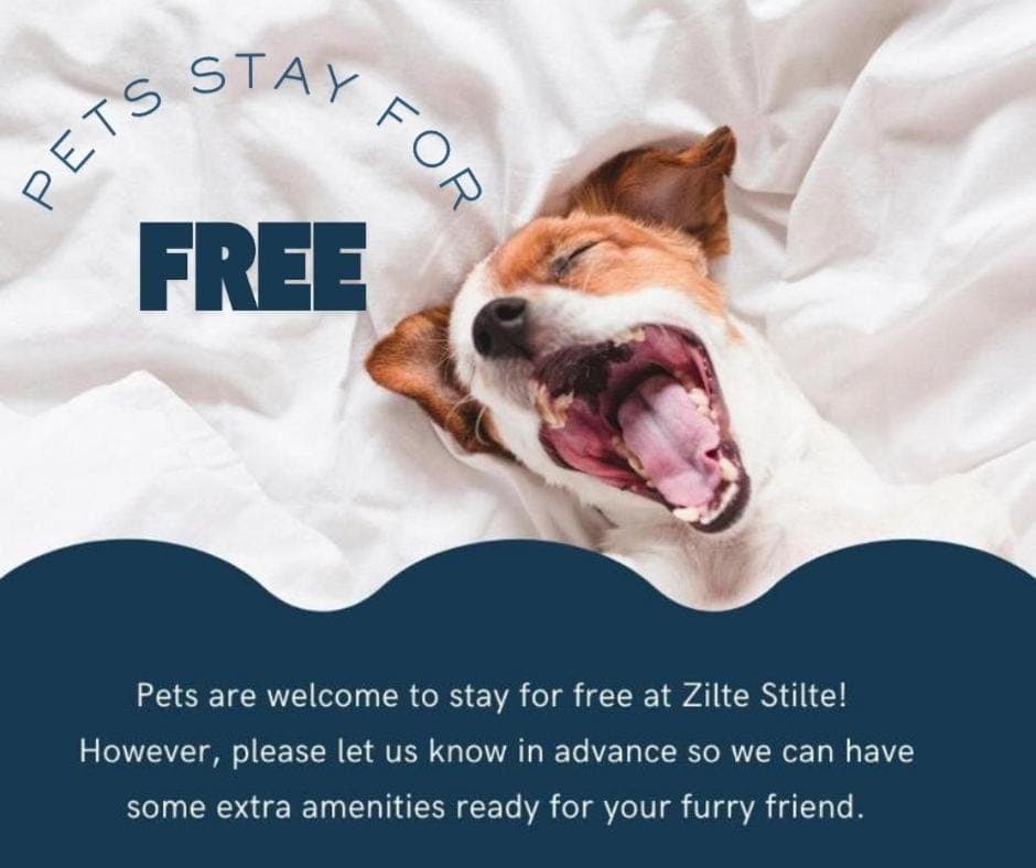 Bedroom, Pets, Pets, Pets, Area and facilities, Area and facilities, pet friendly, pet friendly