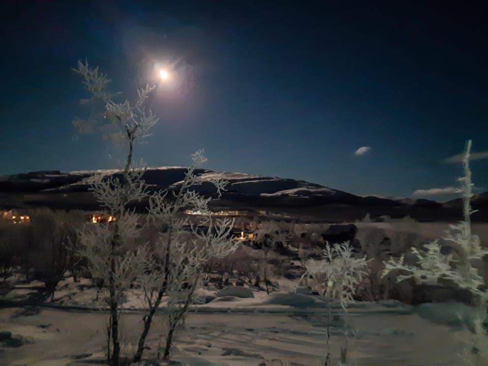 Naali Mökki Campground/ 
RV Resort in Norrbotten County, Sweden