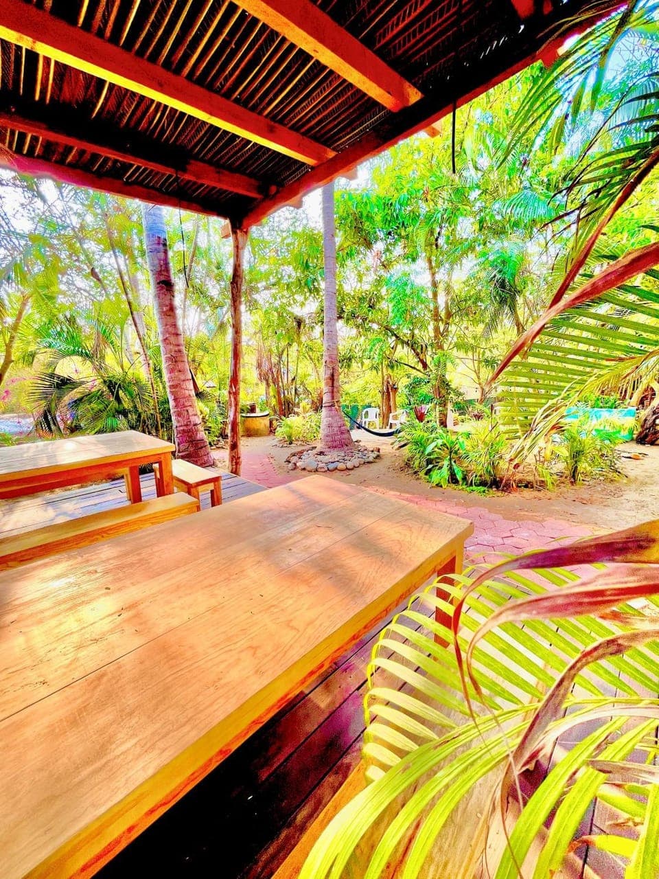 Garden, Dining area, Garden view