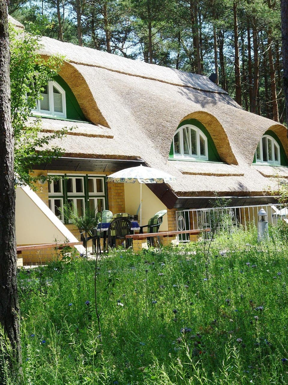 Property building, Garden view