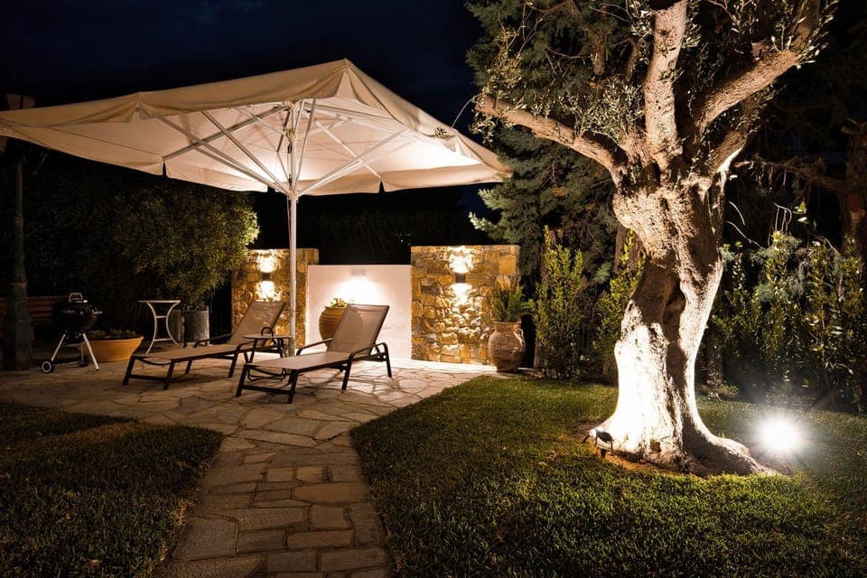 Garden, Garden view, sunbed