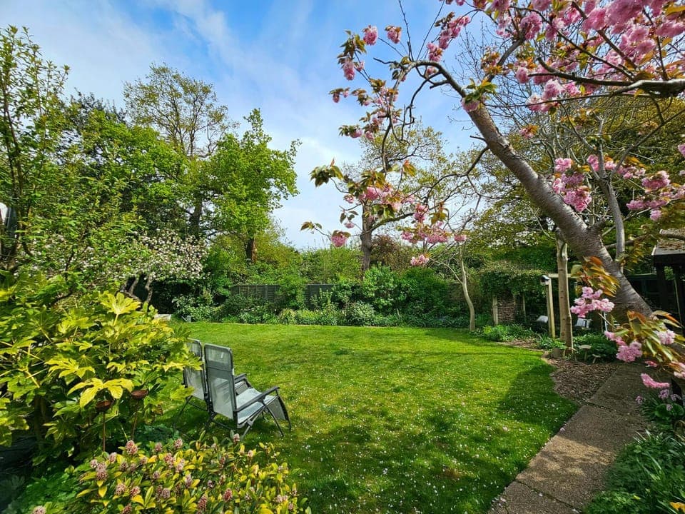 Spring, Day, Natural landscape, Garden, Garden view
