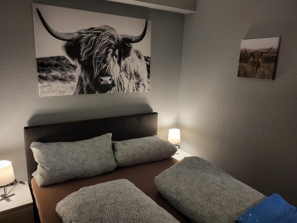 Bed, Photo of the whole room, Bedroom