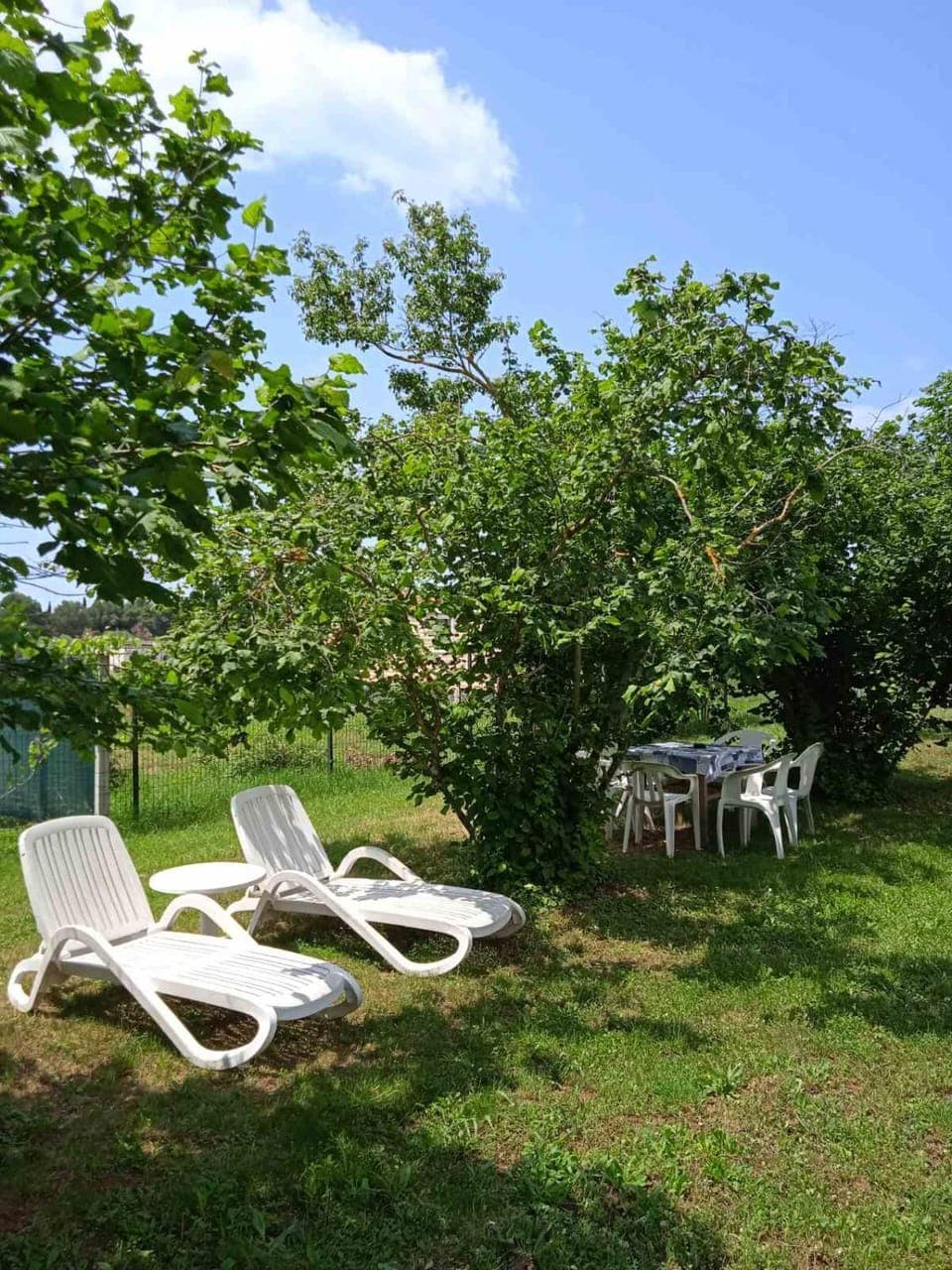 Day, Garden, Garden view, sunbed