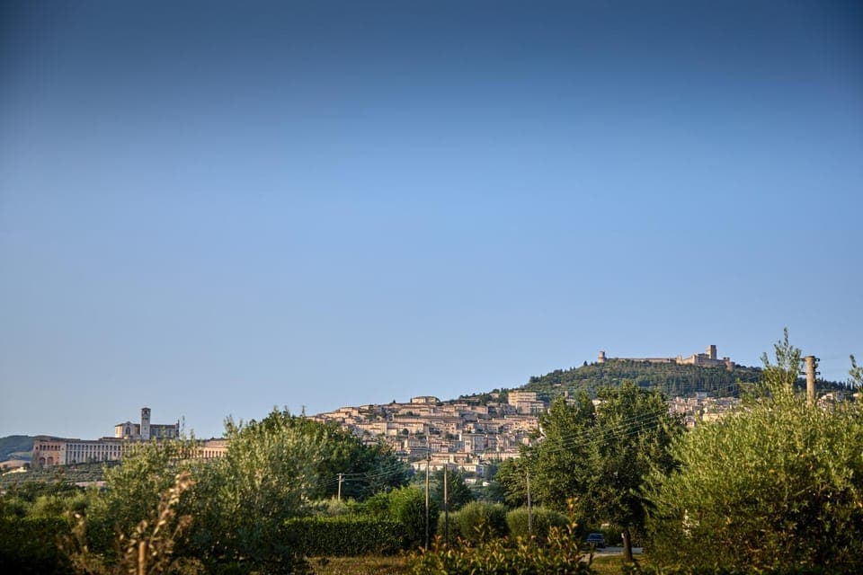 View (from property/room), View (from property/room)