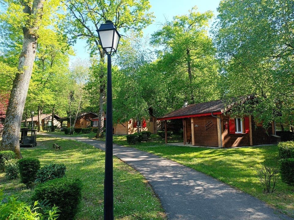 Patio, Garden, Garden view