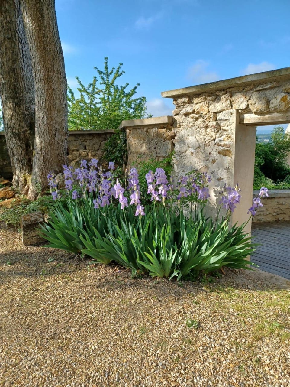 Spring, Day, Garden view