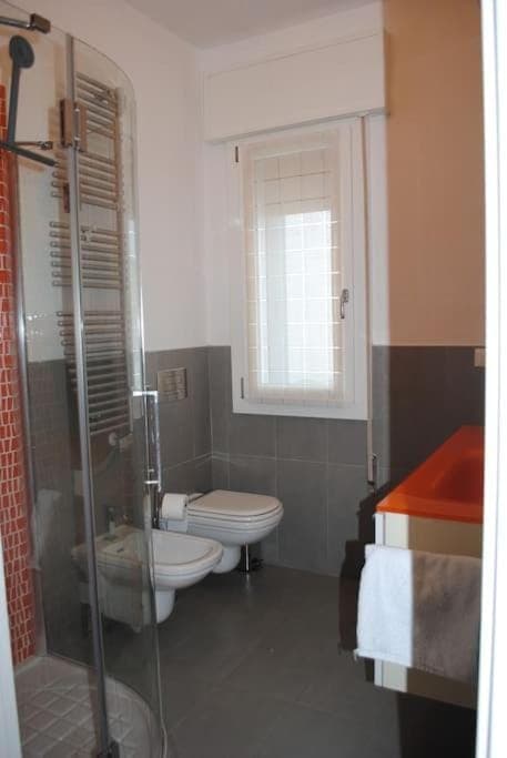 Shower, Toilet, Bathroom, bidet