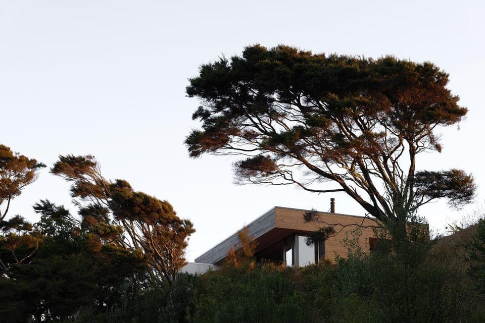 Property building, Day, Natural landscape