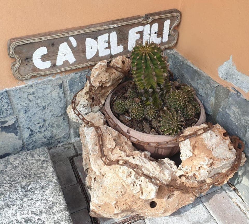 Property building, Day, Text overlay