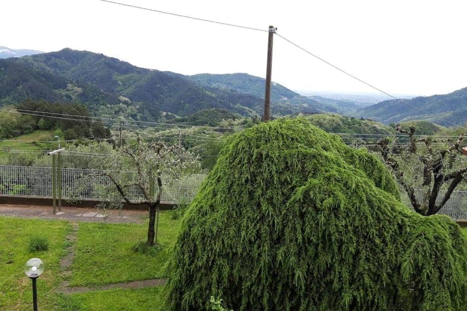 Casa Zita dei fiori House in Lucca