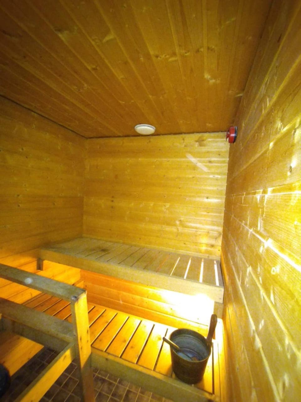 Sauna, Sauna
