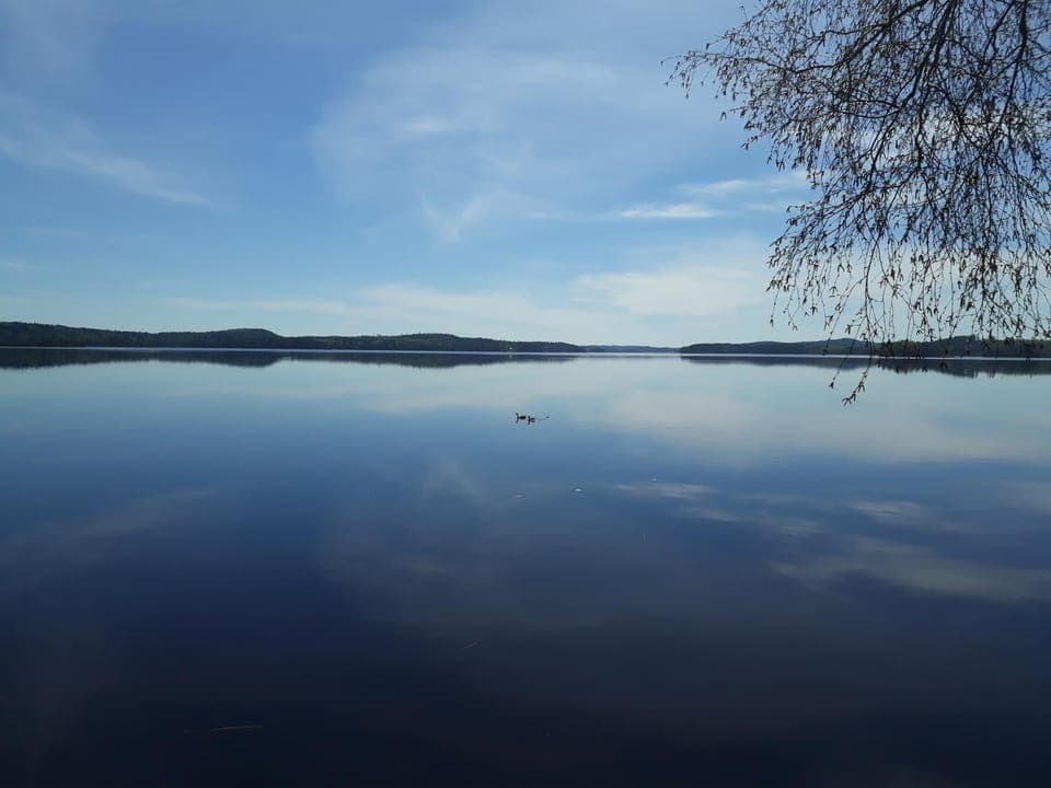 Natural landscape