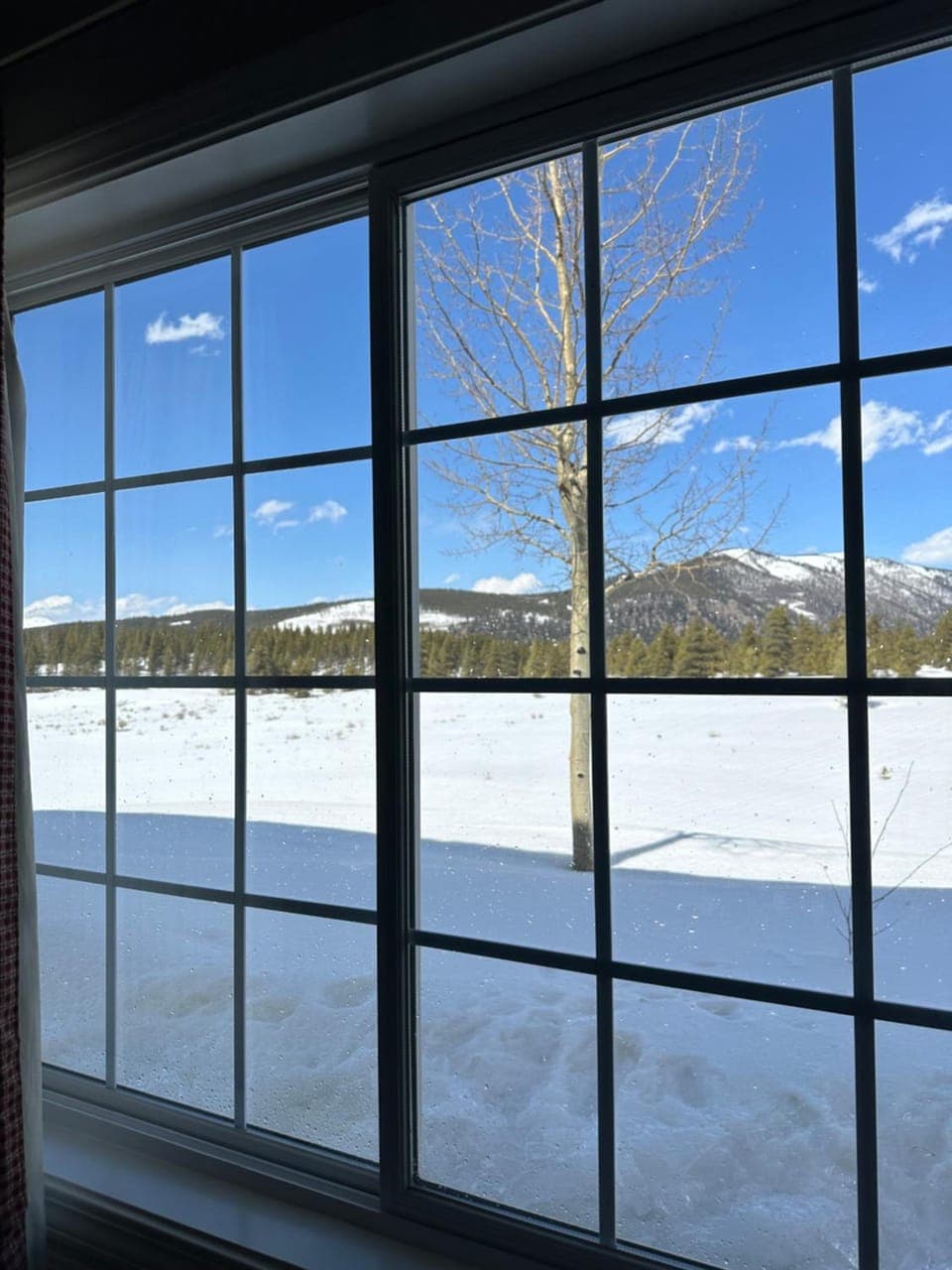 Columbine Inn and Suites Hotel in Colorado
