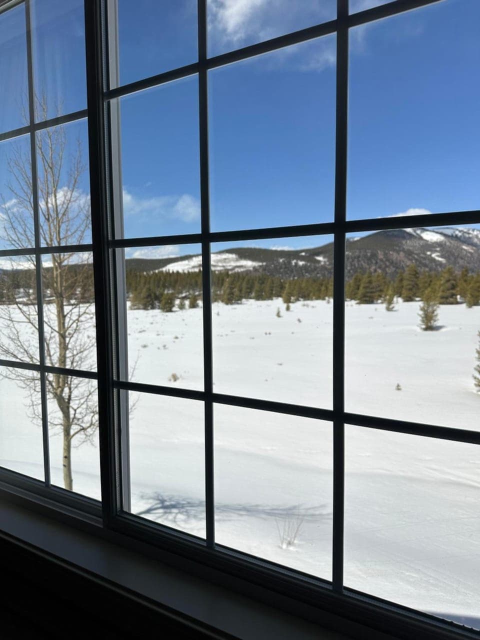 Columbine Inn and Suites Hotel in Colorado