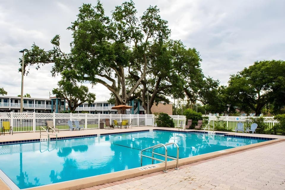 Swimming pool [outdoor]