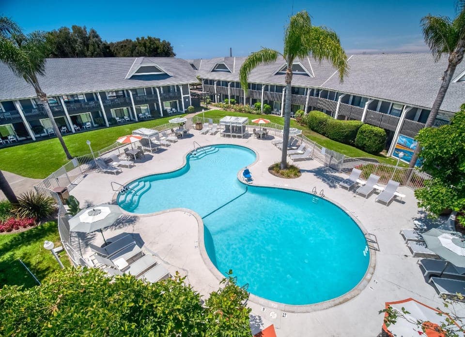 Swimming pool [outdoor]