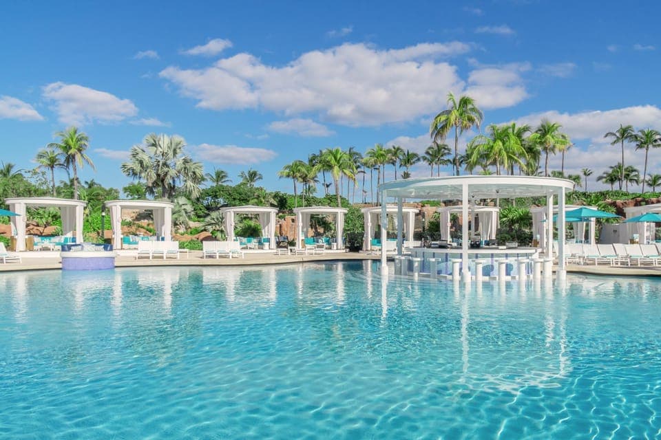 Swimming pool [outdoor]