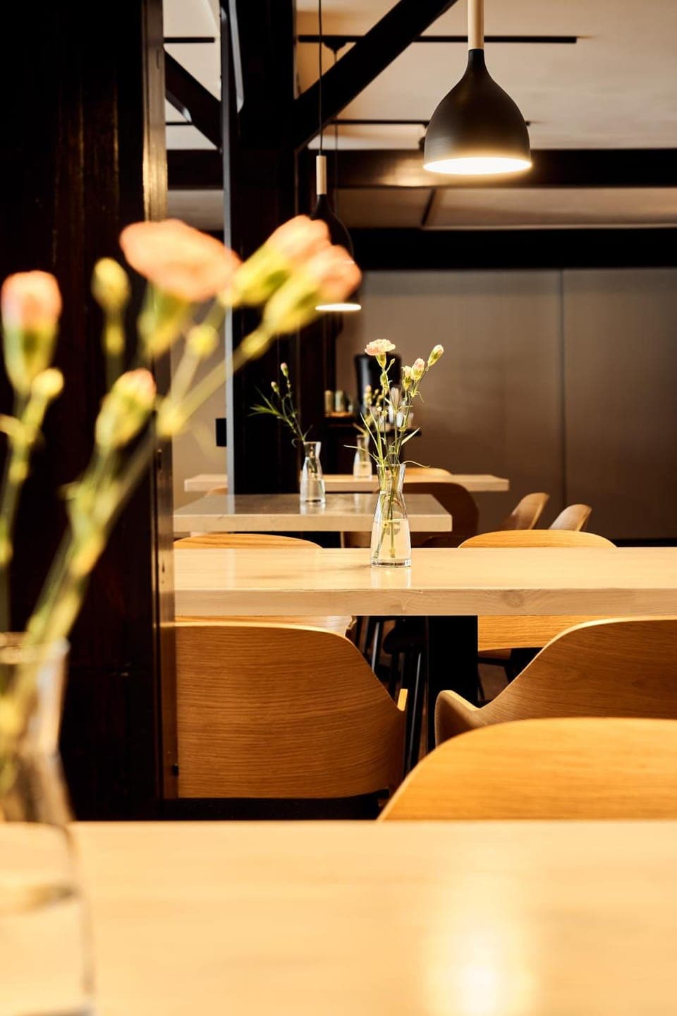 Hotelli Havu Hotel in Finland